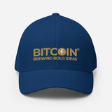 Bitcoin® Dad Hat - Brewing Bold Ideas