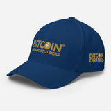 Bitcoin® Dad Hat - Brewing Bold Ideas